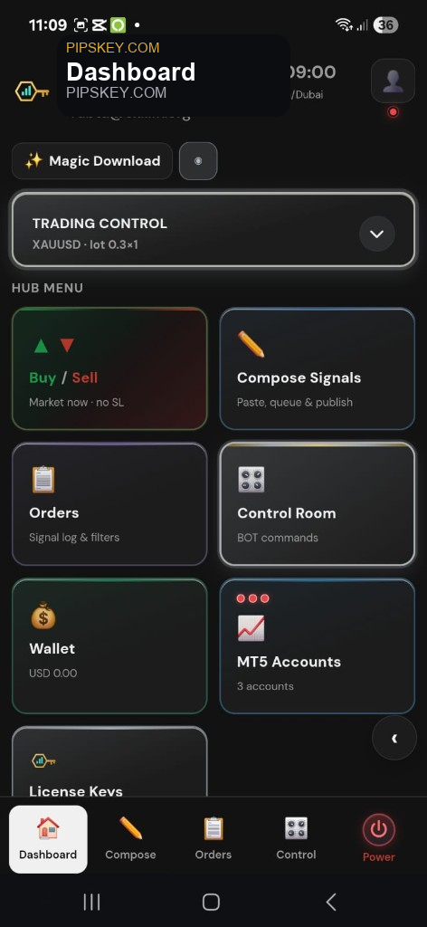 PIPs Key dashboard — dark mode