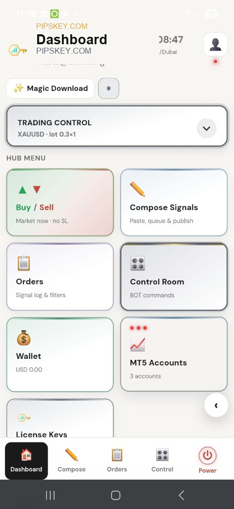 PIPs Key dashboard — light mode